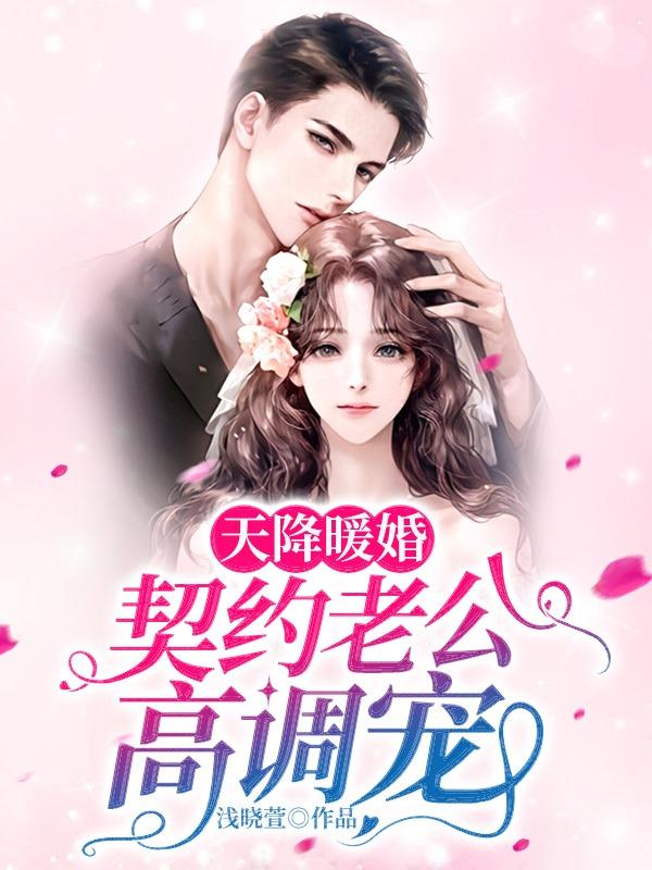 天降暖婚:契约老公高调宠