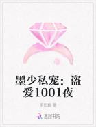 墨少私宠:盗爱1001夜