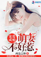 宠爱成瘾:萌妻不好惹
