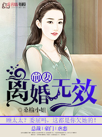 前妻,离婚无效!