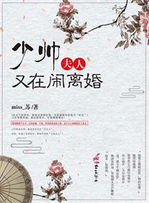 少帅,夫人又在闹离婚