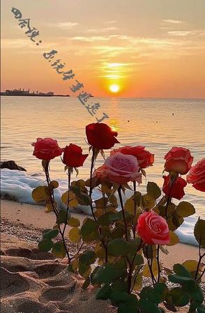 四合院：系统肇事逃逸了