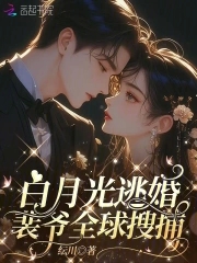 白月光逃婚,裴爷全球搜捕