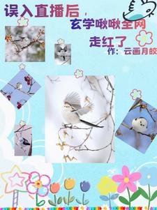 我,小金乌,后台大一点怎么了!