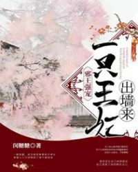 邪王强宠：一只王妃出墙来