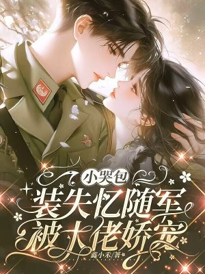 小哭包装失忆随军,被大佬娇宠