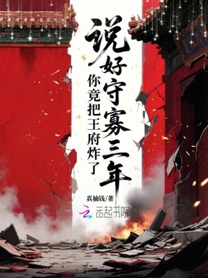 说好守寡三年，你竟把王府炸了