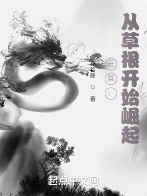 三国:从草根开始崛起